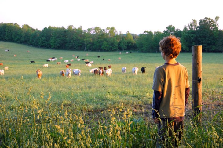 young farmer over looking field