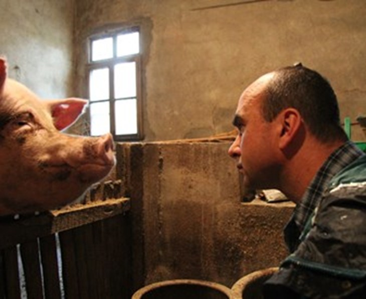 Philip cara a cara con un cerdo de granja industrial enjaulado, en su viaje de investigación a China para Farmageddon 2011