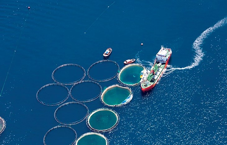 aquapools-fish-farming_700px