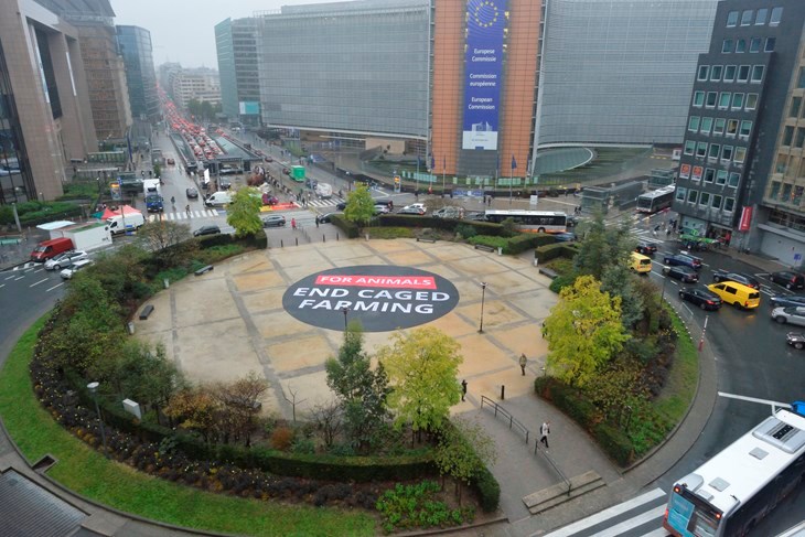 gran cartel circular en la rotonda frente a la sede de la Comisión Europea en Bruselas pidiendo el fin de las jaulas para los animales en las granjas