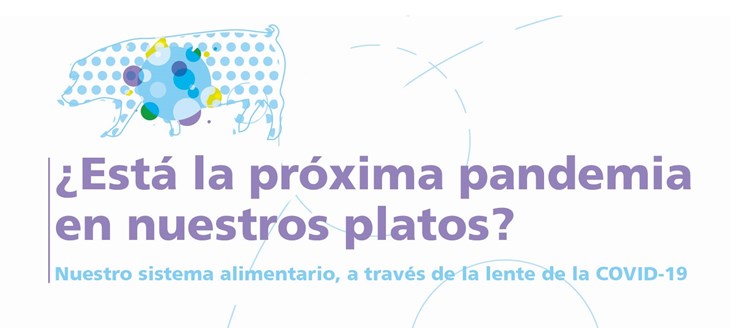 Portada del nuevo informe de CIWF: "¿Está la próxima pandemia en nuestros platos?"