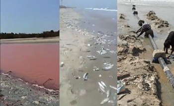 Las consecuencias de la fábrica Golden Lead. Los contaminantes de la fábrica se arrojan directamente a una laguna cercana los cuales destruyen la naturaleza de la región y envenenan el medio ambiente.