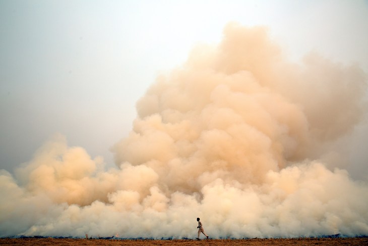 pequeña silueta de una persona sobre un fondo de rastrojos de cultivos ardiendo, humo espeso ondeando en el cielo