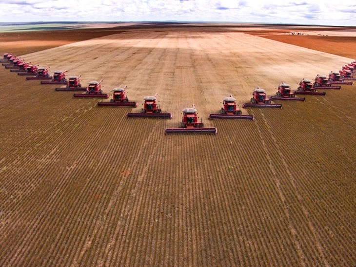 batallón de máquinas segadoras en un campo de agricultura intensiva