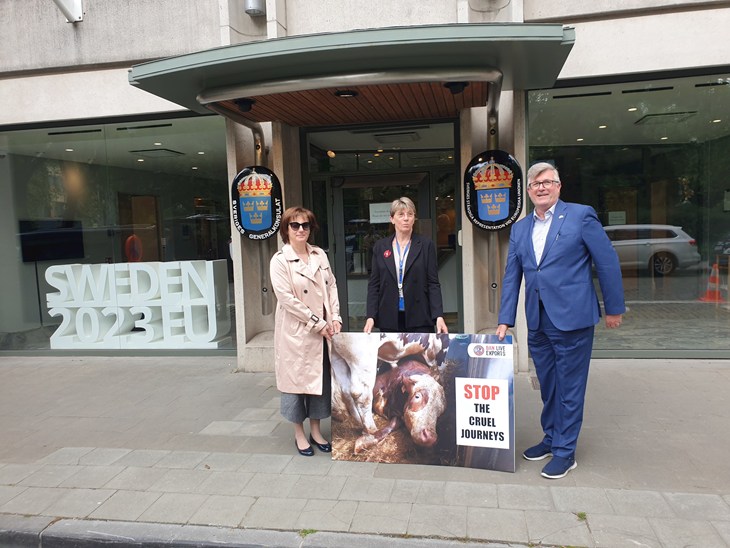 entrega de postal gigante contra las exportaciones de animales vivos a representante de la presidencia sueca del consejo de la UE