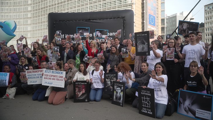 Varias personas manifestñandose para acabar con la era de las jaulas